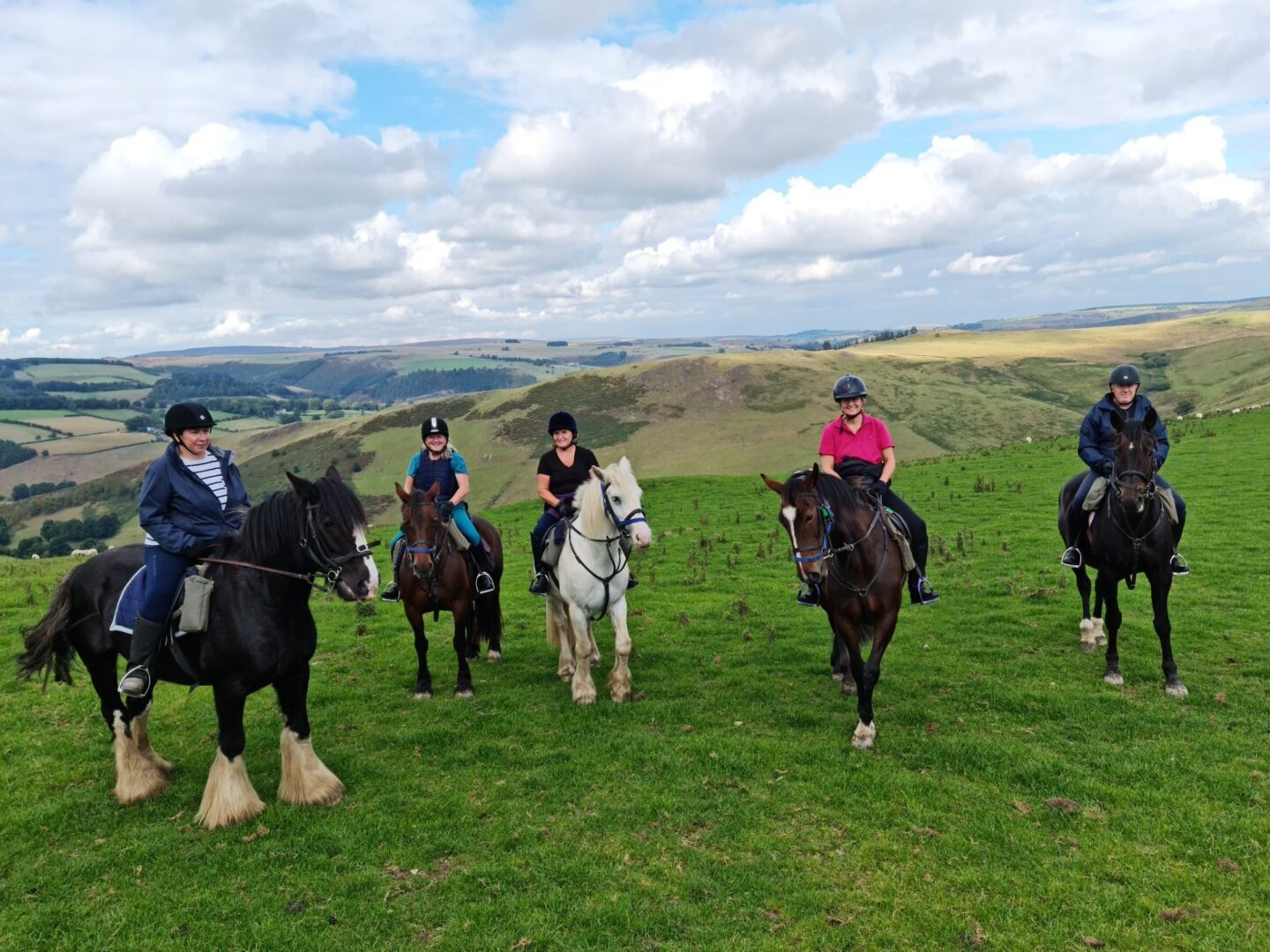 manchester horse riding manchester horse riding
